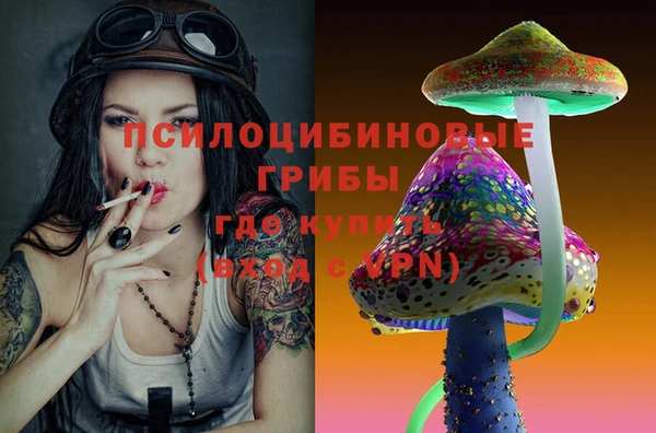 молекула духа Янаул